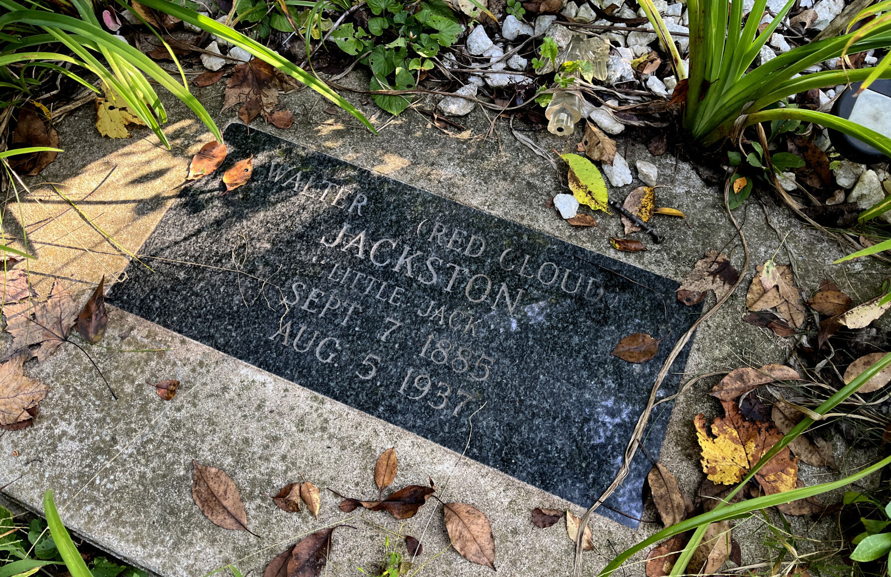 Cayuga County Poor House Cemetery8.JPG